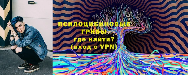 дживик Вязники