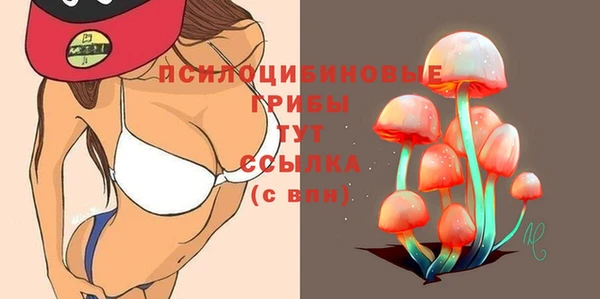 дживик Вязники